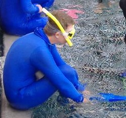 Lycra Stinger Suit with Hood